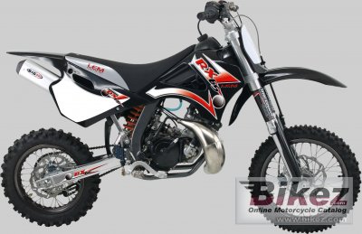 2007 lem rx 65 photo